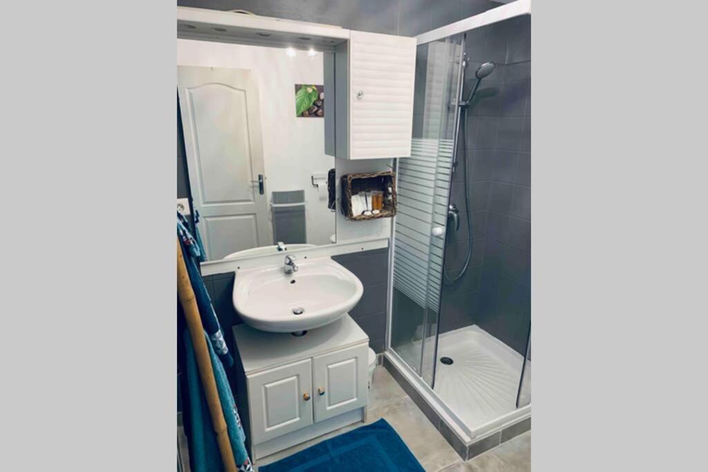 2P Au Coeur Des Montagnes Avec Piscine Chauffee Apartment Puget-Théniers Екстериор снимка